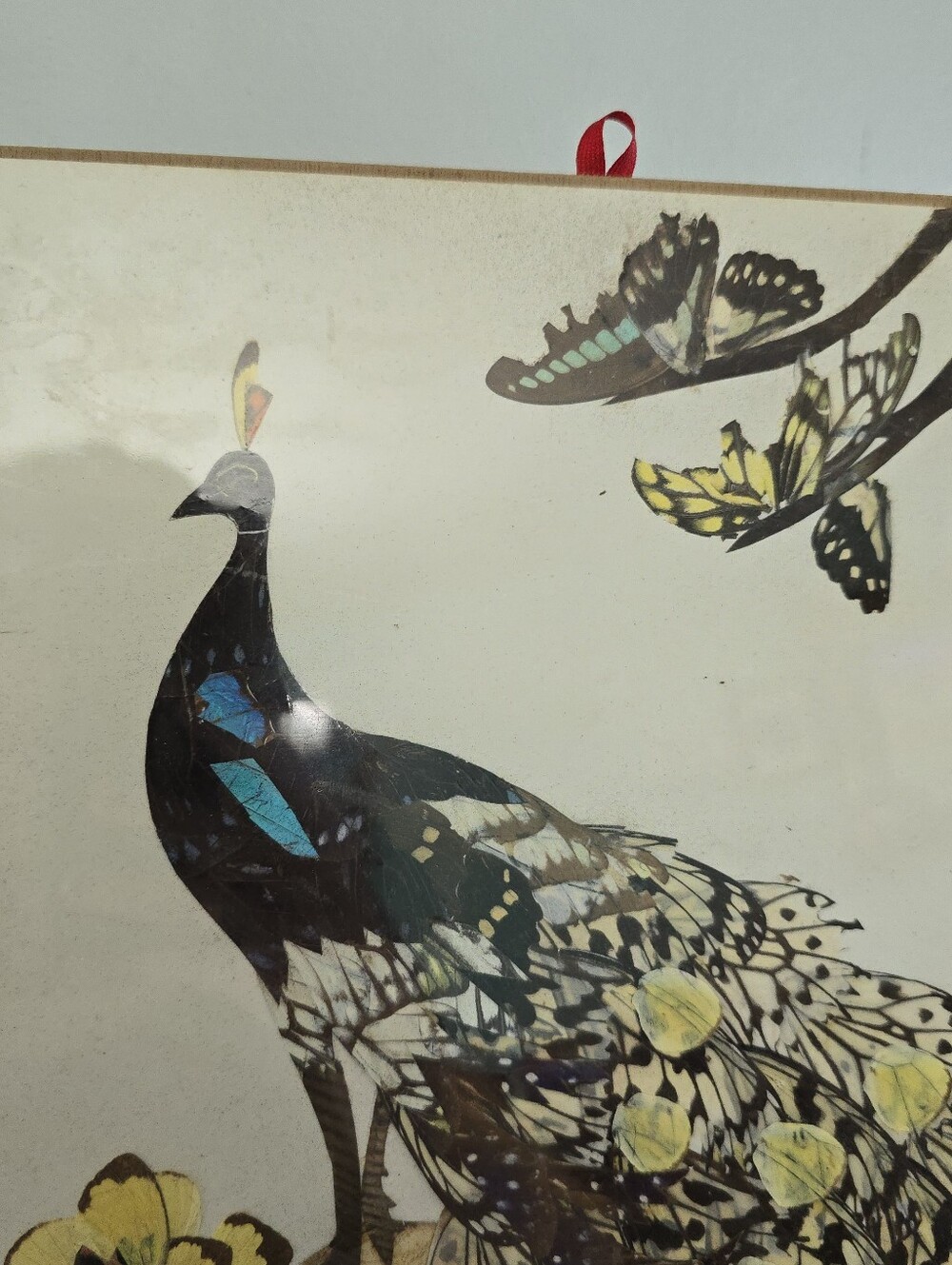 Vintage Real Moth and Butterfly Wing Art Taxidermy Peacock Beautiful - Picture 7 of 11